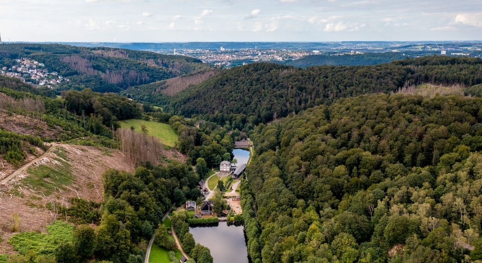 Kilmafolgen konkret - Das Mäckingerbachtal im Jahr 2021 nach den Trockensommern. Bild: Torsten Silz