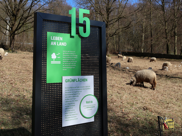 Das Bild zeigt eine Infotafel zum Klimaziel 15, im Hintergrund ist eine Wiese mit Schafen.