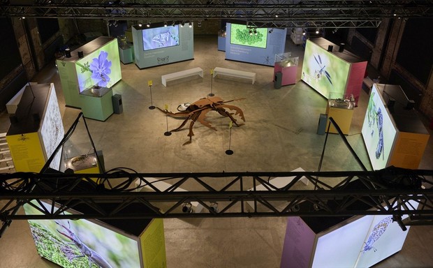 Ausstellungseröffnung
