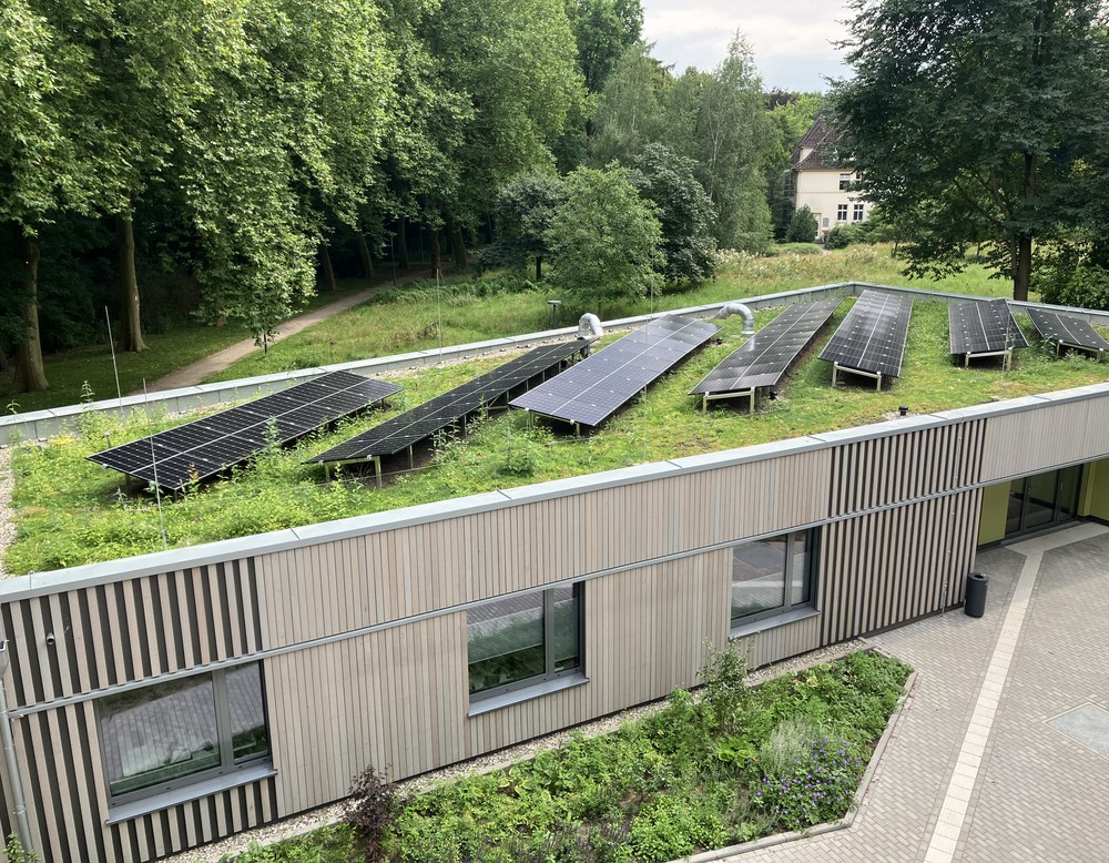 Das Bild zeigt den Anbau der Akademie, der über ein begrüntes Dach mit PV-Anlage & eine Versickerungsmulde mit Blühstreifen verfügt.