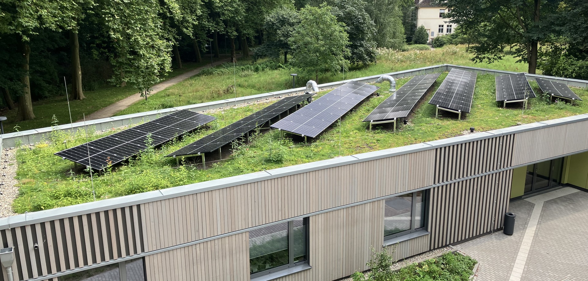 Der Anbau der LWL-Klinik Münster verfügt über ein extensiv begrüntes Dach mit Photovoltaikanlage sowie eine Versickerungsmulde mit Blühstreifen.
