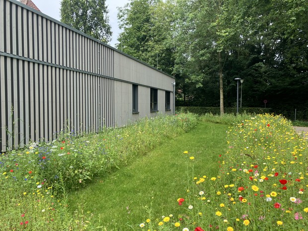 Das Bild zeigt  den Neubau der LWL-Akademie für Gesundheitsberufe in Münster.