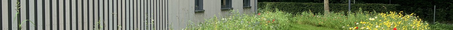 Neubau der LWL-Akademie für Gesundheitsberufe, Münster