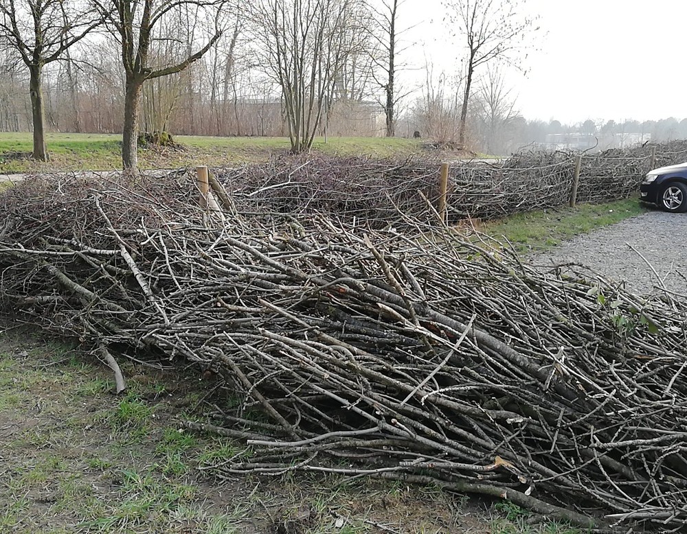Das Bild zeigt eine Mauer aus lockerem Gehölz, die einen Parkplatz umgibt.