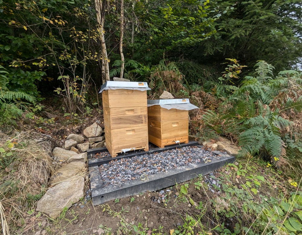 Das Bild zeigt zwei Bienenstöcke.