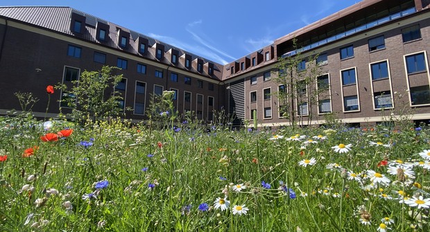 Das Bild zeigt das Gebäude des LWL-Bau- und Liegenschaftsbetriebs in Münster.